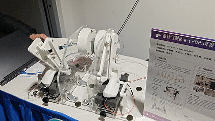 1769162316184553.gif 1.gif